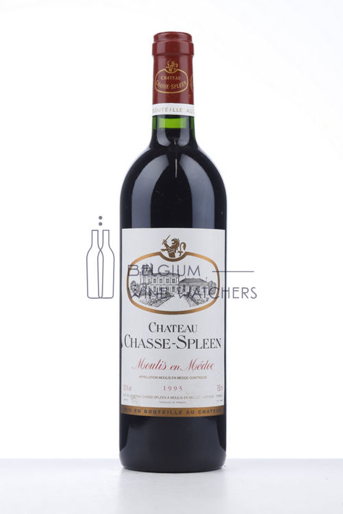Image de 1995 CHASSE SPLEEN